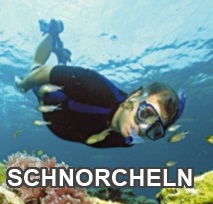 Schnorchelzubehör